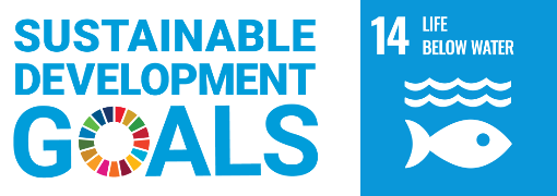 Sustainable
Development Goals